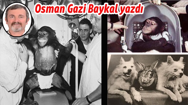 İNSANLIK İÇİN UÇAN HAYVANCIKLAR-2