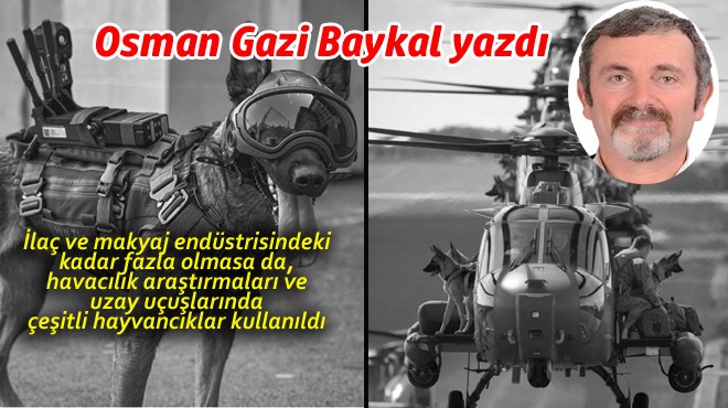 İNSANLIK İÇİN UÇAN HAYVANCIKLAR