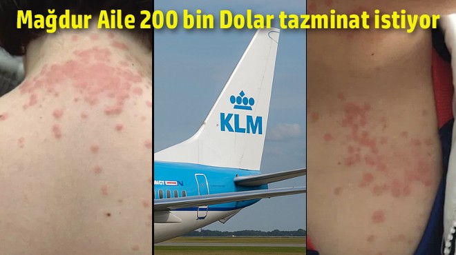 KLM'YE 'TAHTAKURUSU' DAVASI